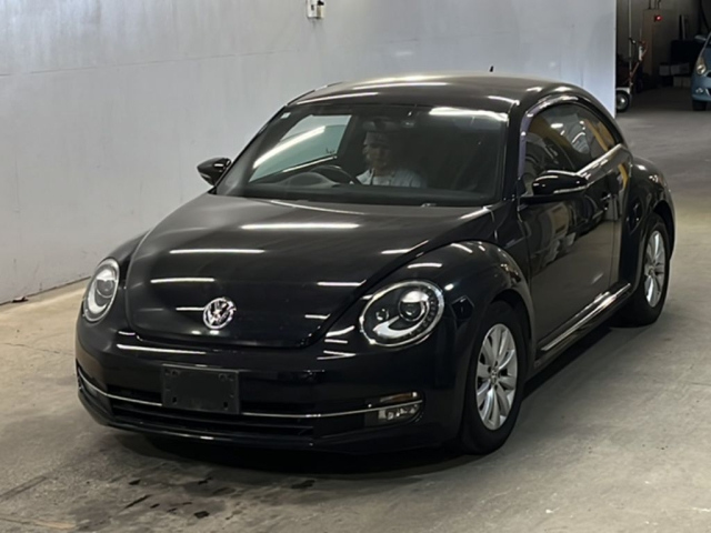 VOLKSWAGEN THE BEETLE