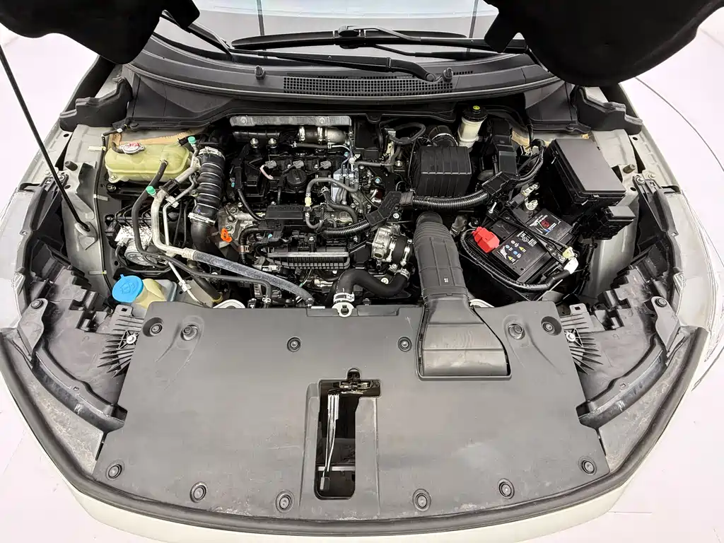 Honda Envix