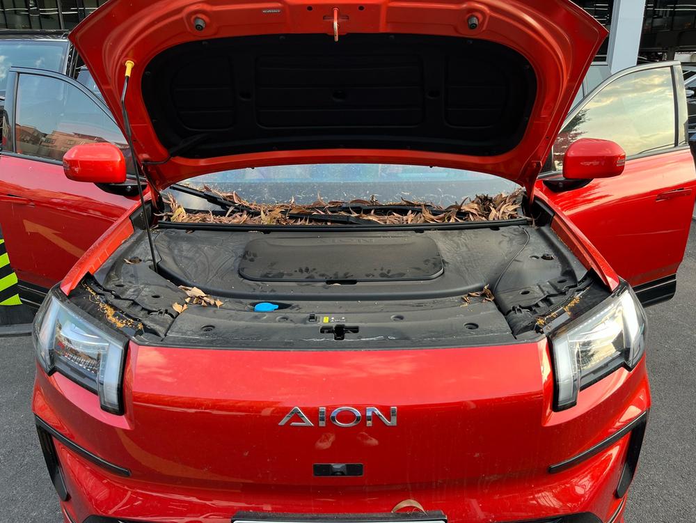 Aion AION V