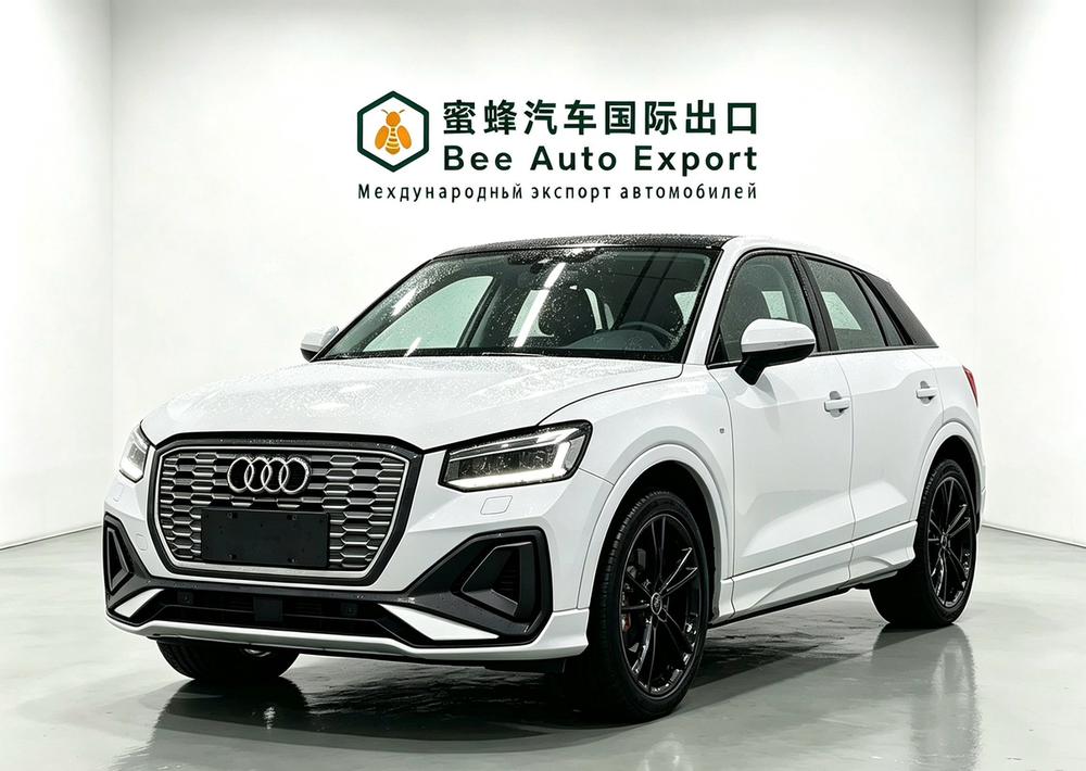 Audi Audi Q2L e-tron