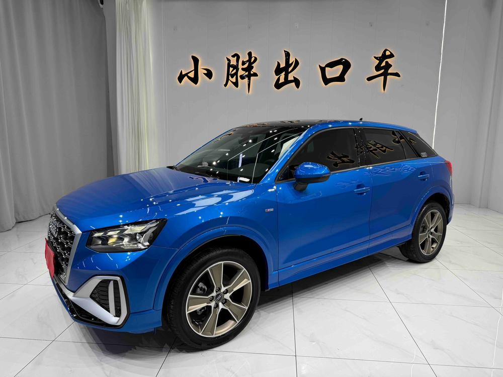 Audi Audi Q2L