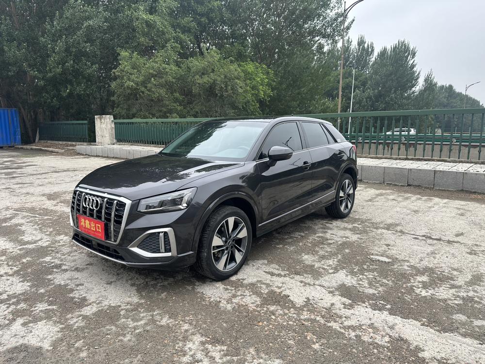 Audi Audi Q2L