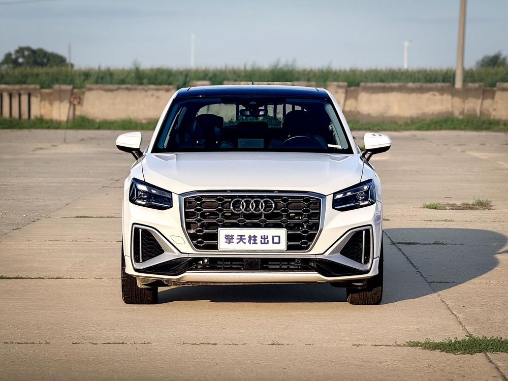 Audi Audi Q2L