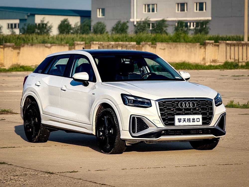 Audi Audi Q2L
