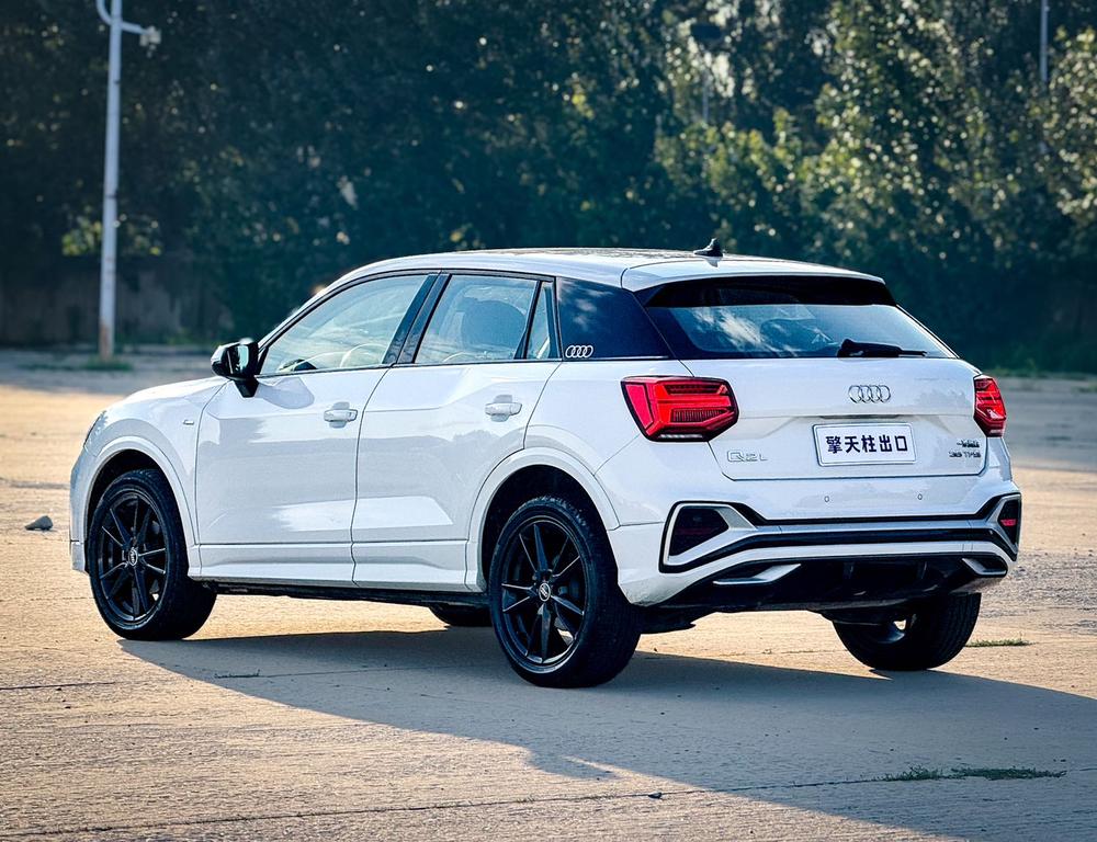 Audi Audi Q2L