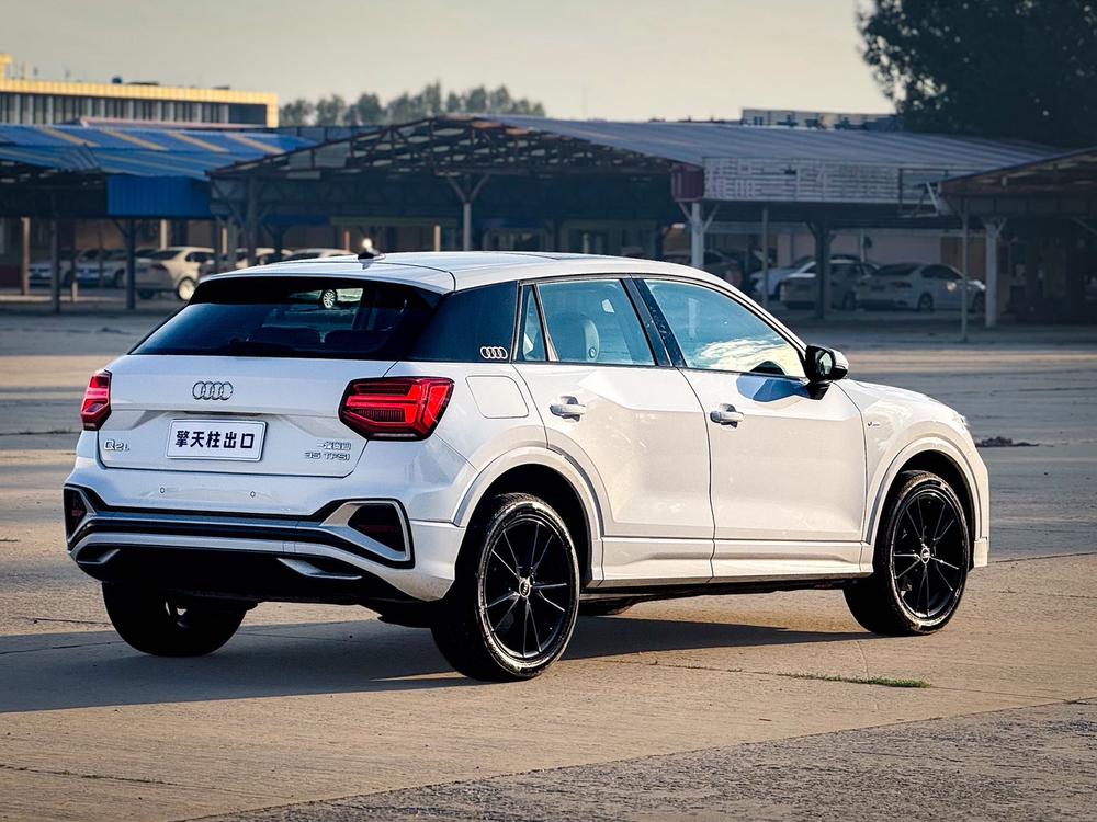 Audi Audi Q2L
