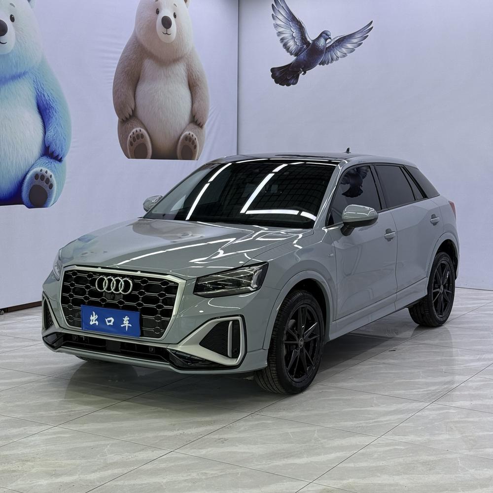 Audi Audi Q2L