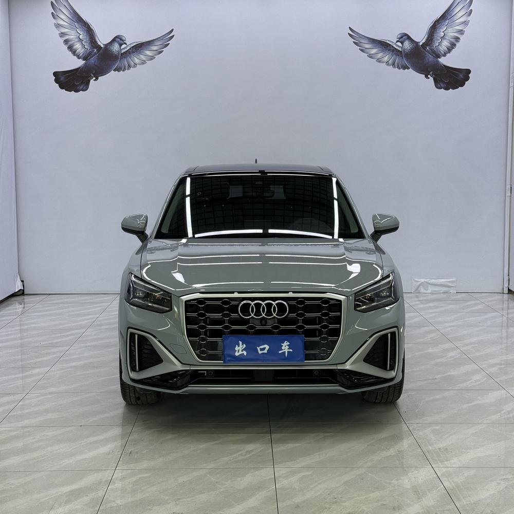 Audi Audi Q2L