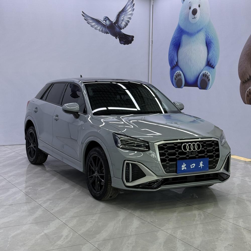 Audi Audi Q2L