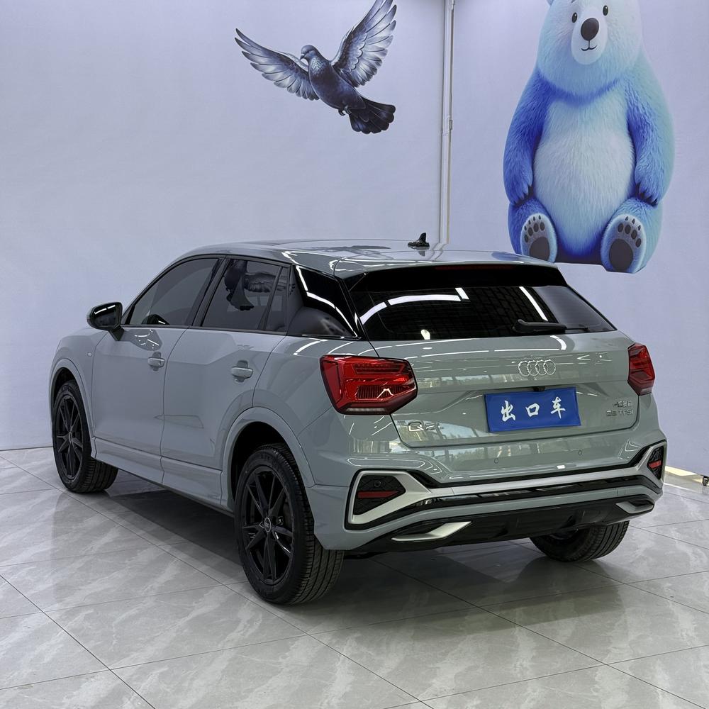 Audi Audi Q2L