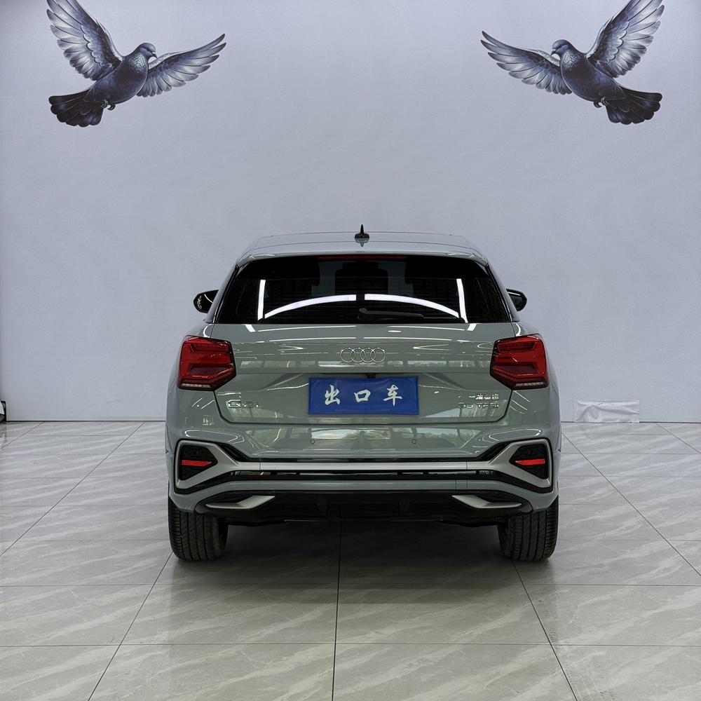 Audi Audi Q2L