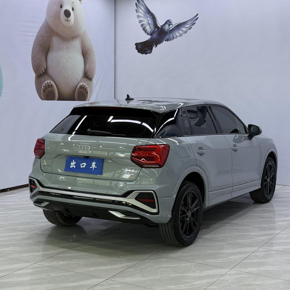 Audi Audi Q2L