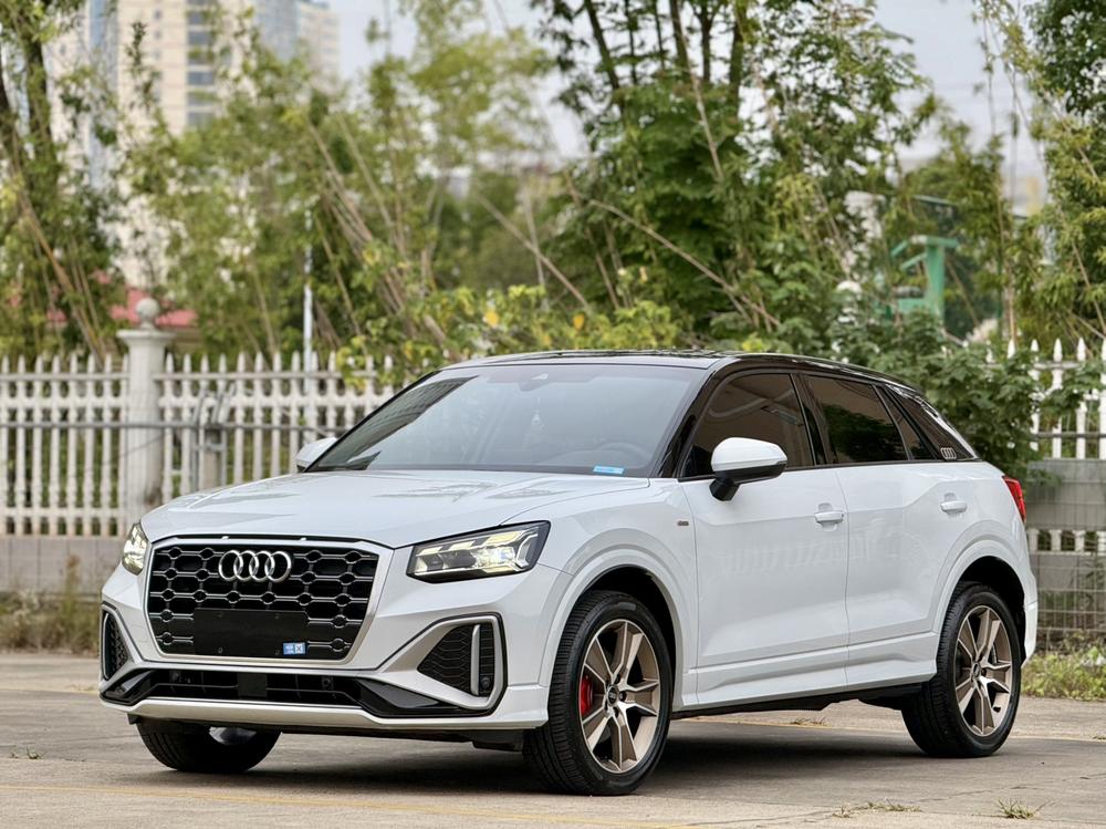 Audi Audi Q2L