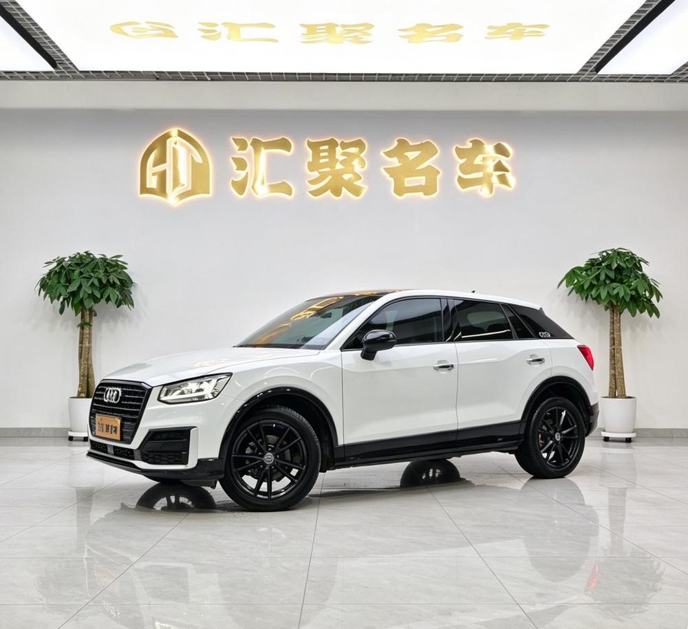 Audi Audi Q2L