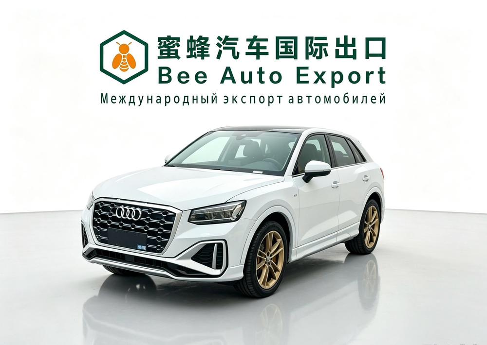 Audi Audi Q2L