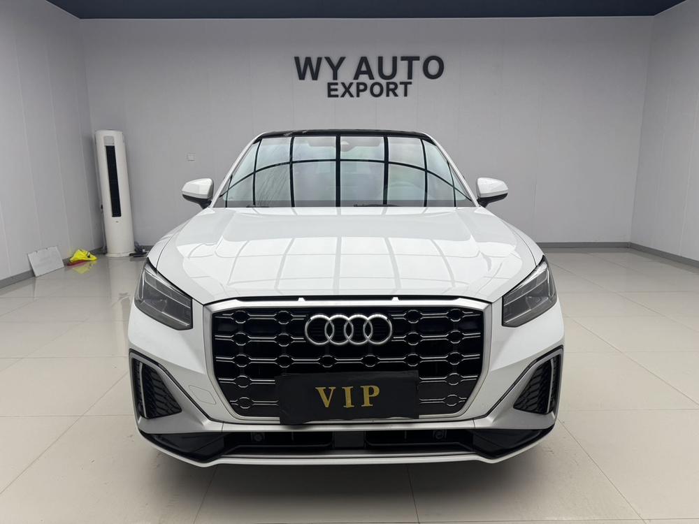 Audi Audi Q2L