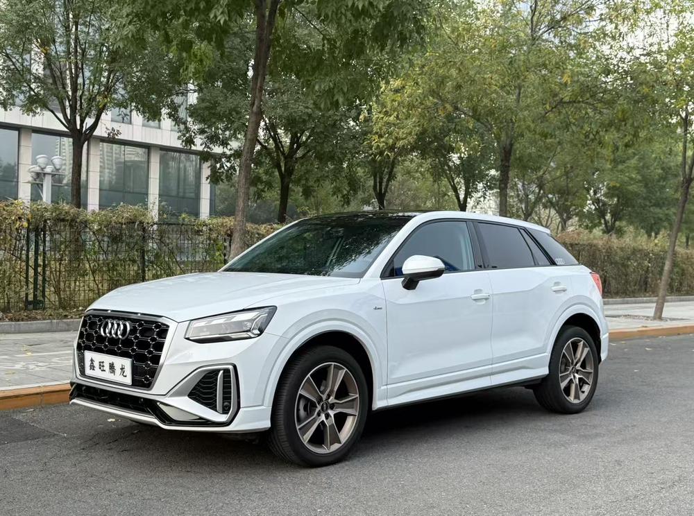 Audi Audi Q2L
