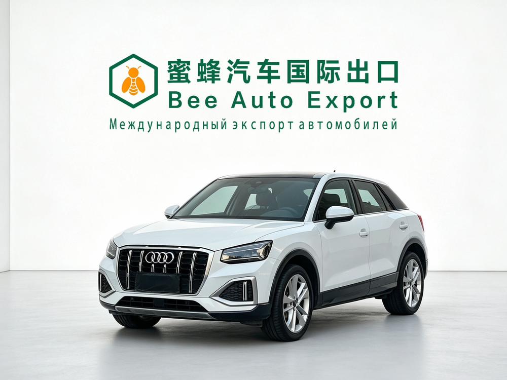 Audi Audi Q2L