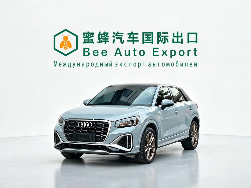 Audi Audi Q2L
