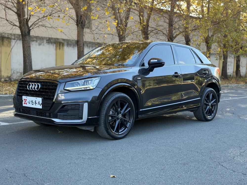 Audi Audi Q2L