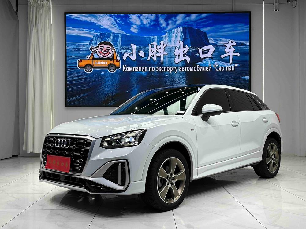 Audi Audi Q2L
