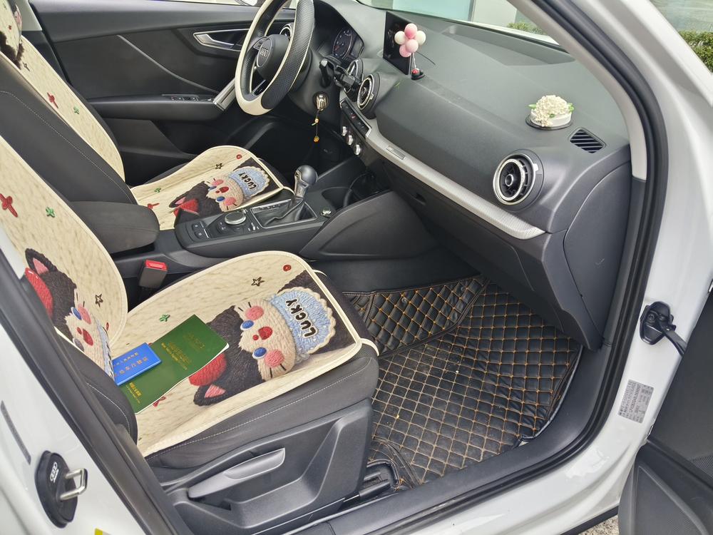 Audi Audi Q2L