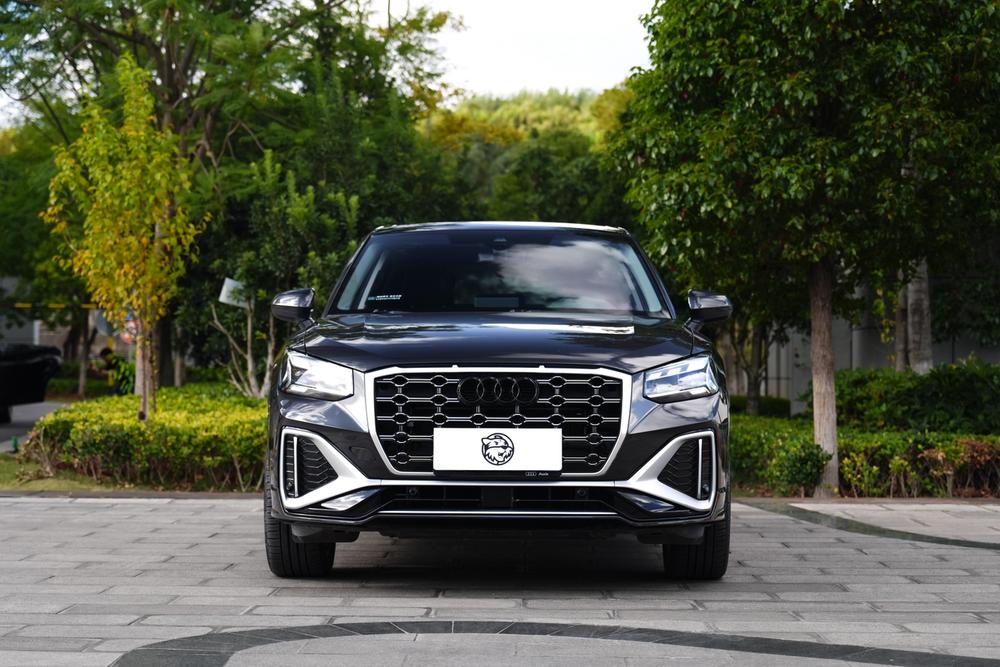 Audi Audi Q2L