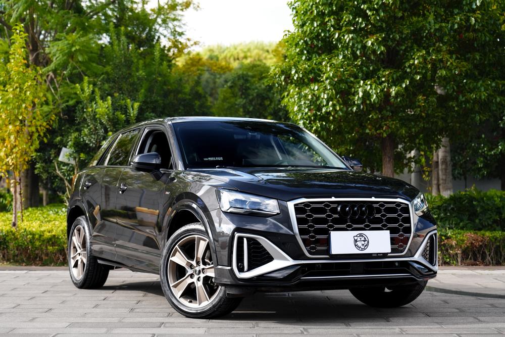 Audi Audi Q2L