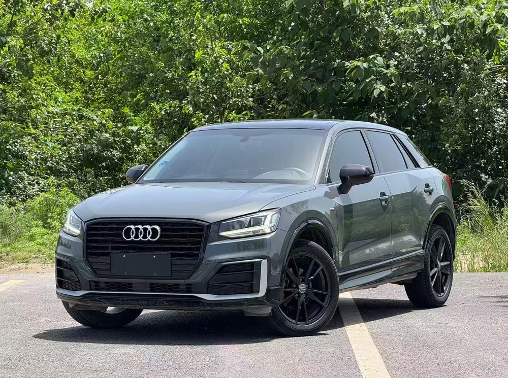 Audi Audi Q2L