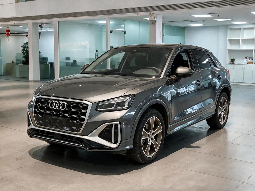 Audi Audi Q2L