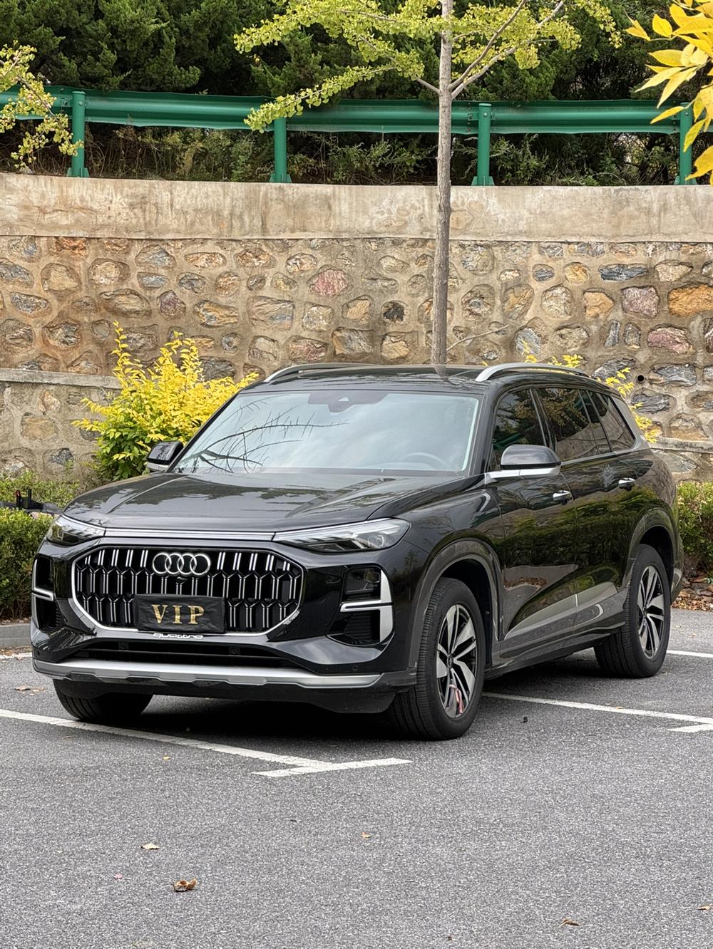 Audi Audi Q6