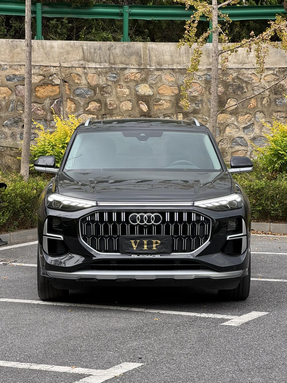 Audi Audi Q6