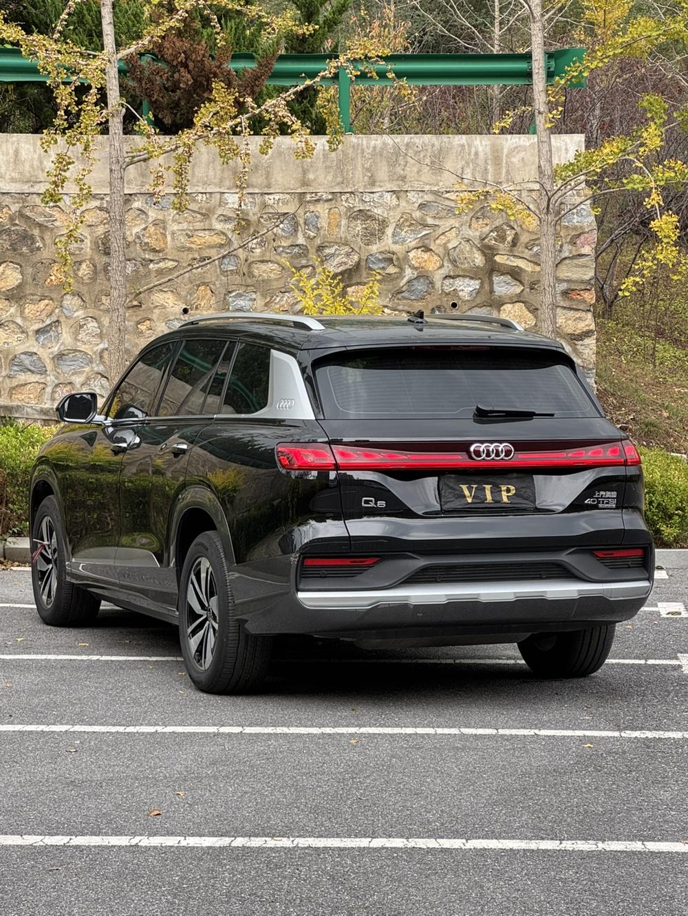 Audi Audi Q6