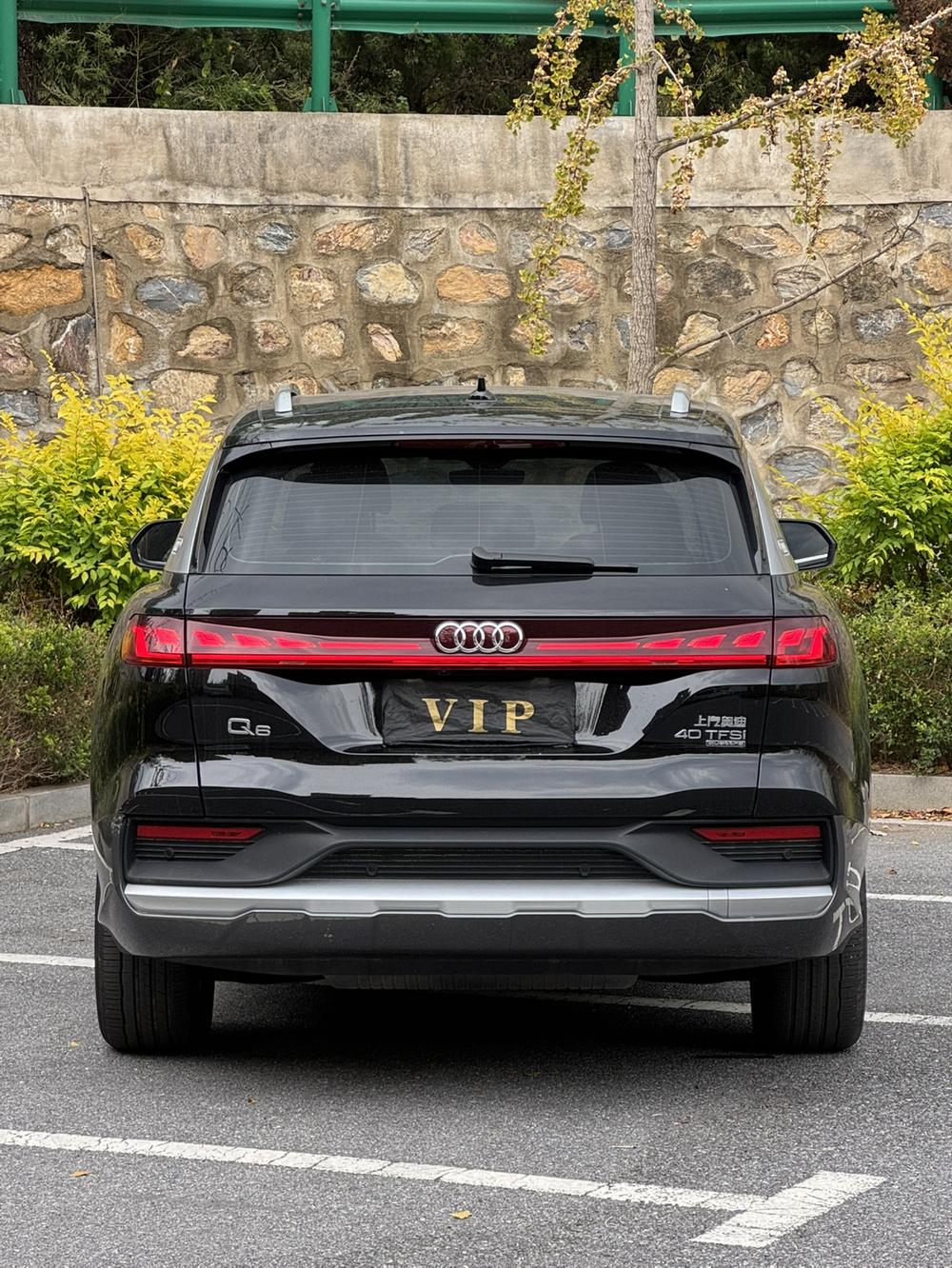 Audi Audi Q6