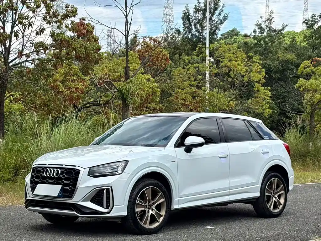 Audi Q2L