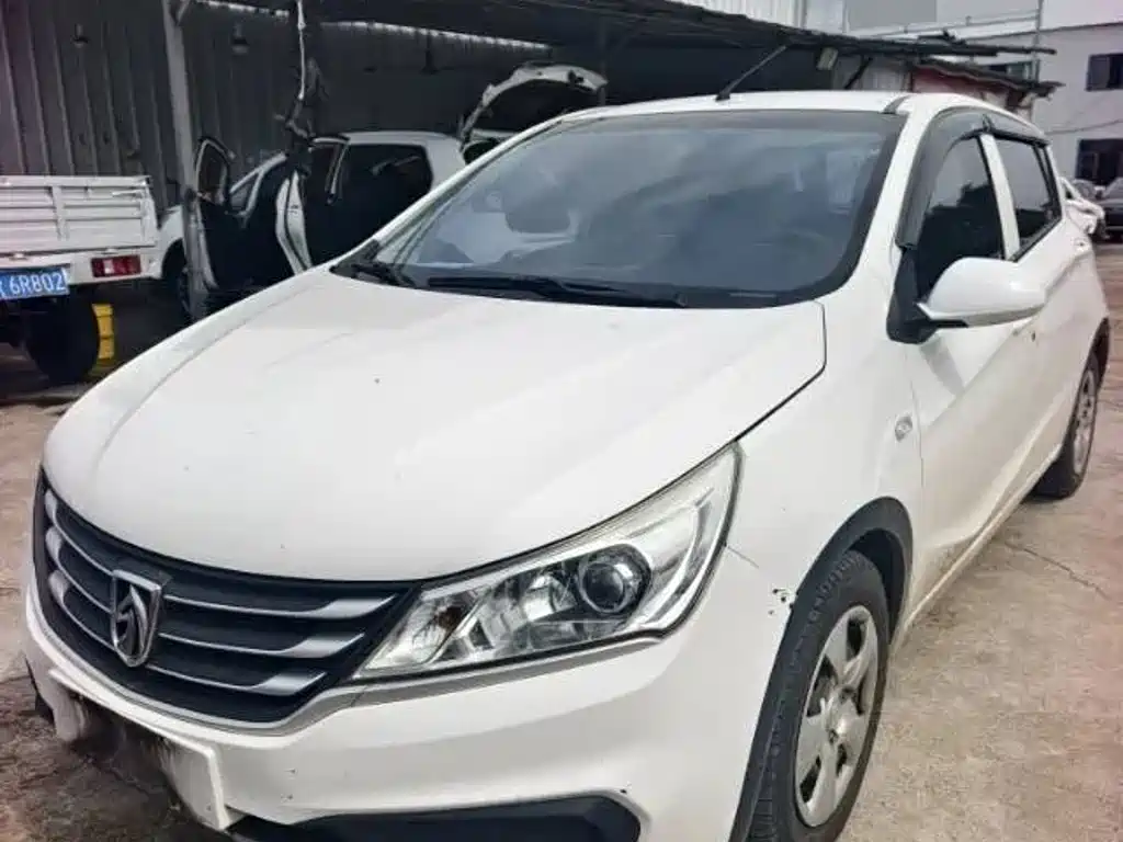 Baojun 310