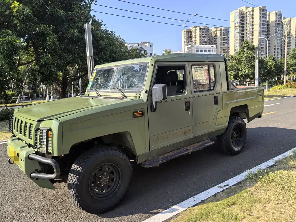 BAW Warrior Pickup