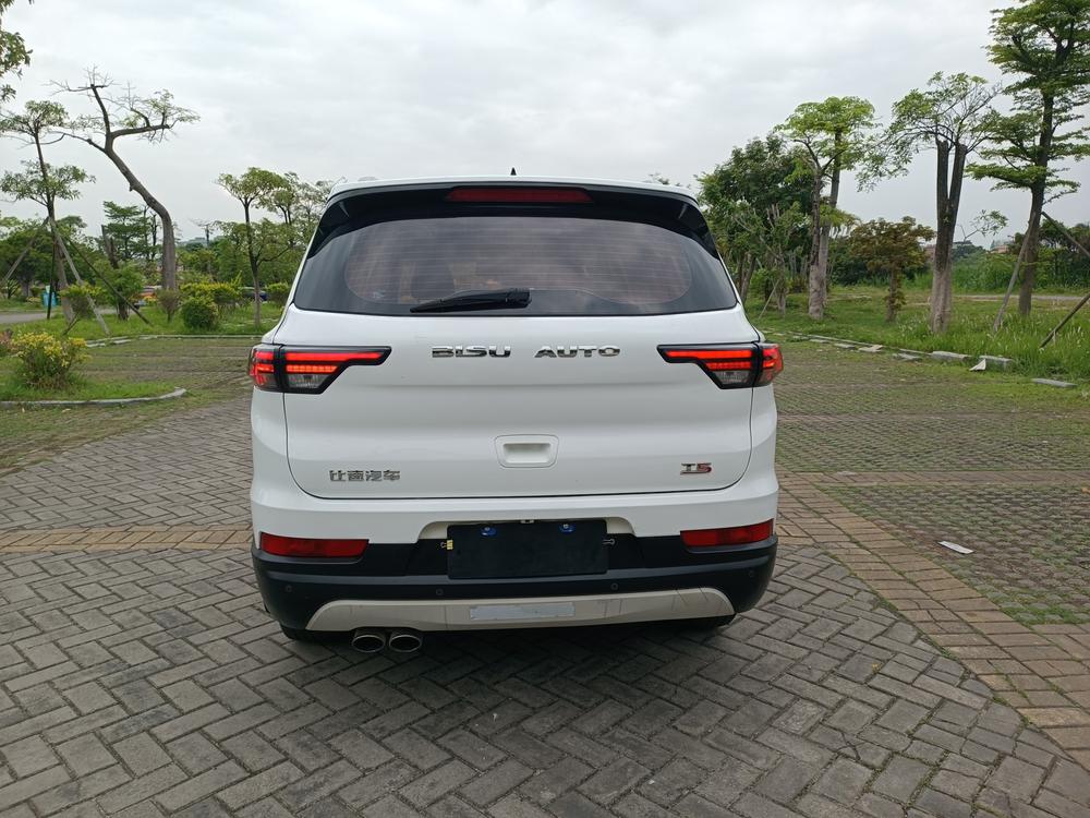 Bisu Bisu T5