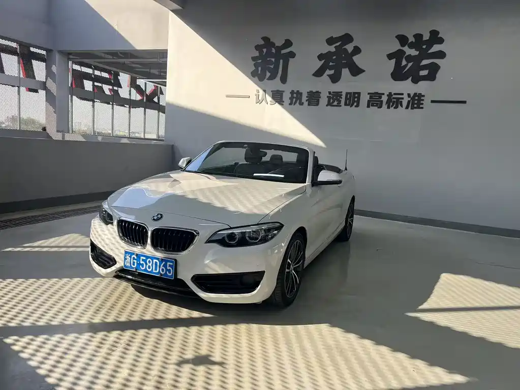 BMW 2 Series (Import)