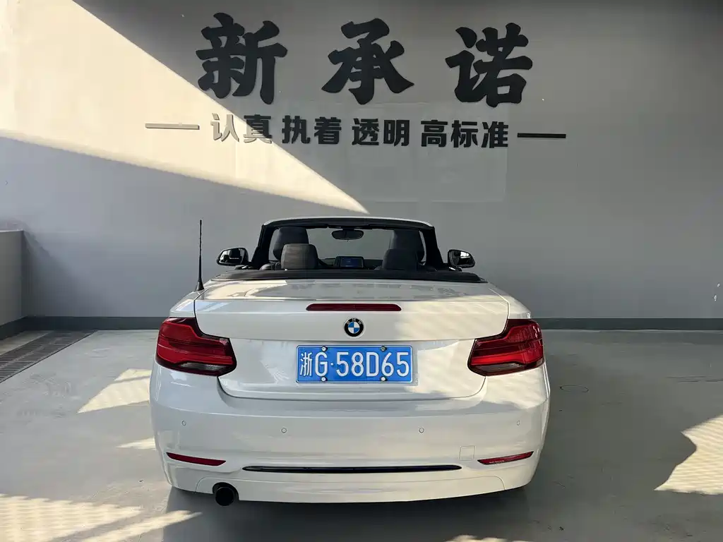 BMW 2 Series (Import)