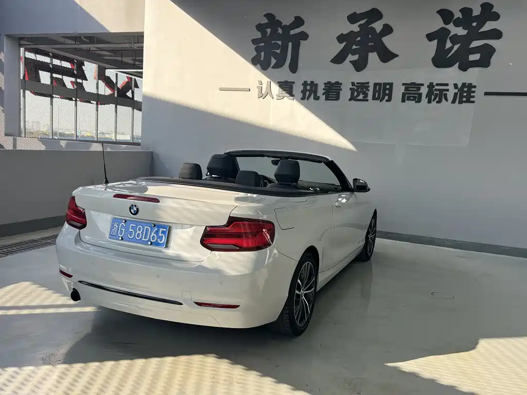 BMW 2 Series (Import)