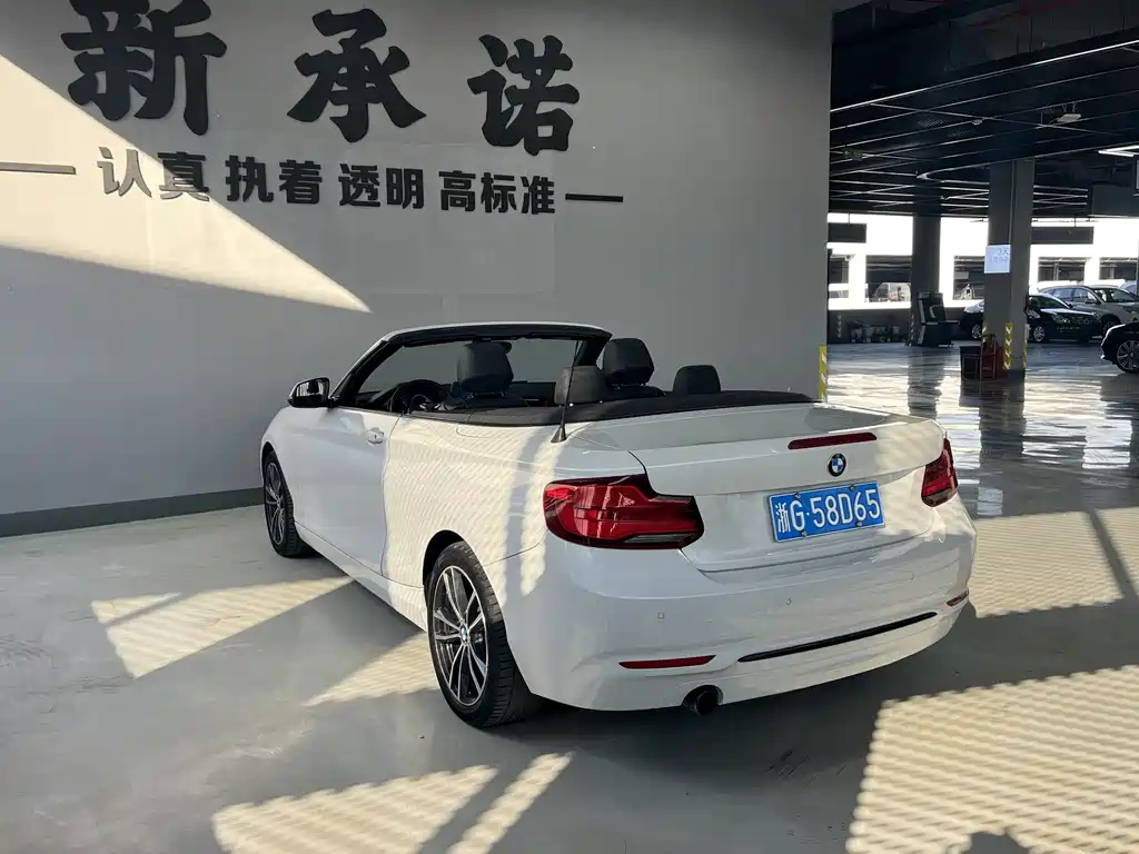 BMW 2 Series (Import)