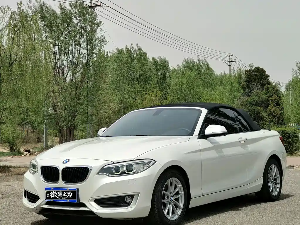 BMW 2 Series (Import)