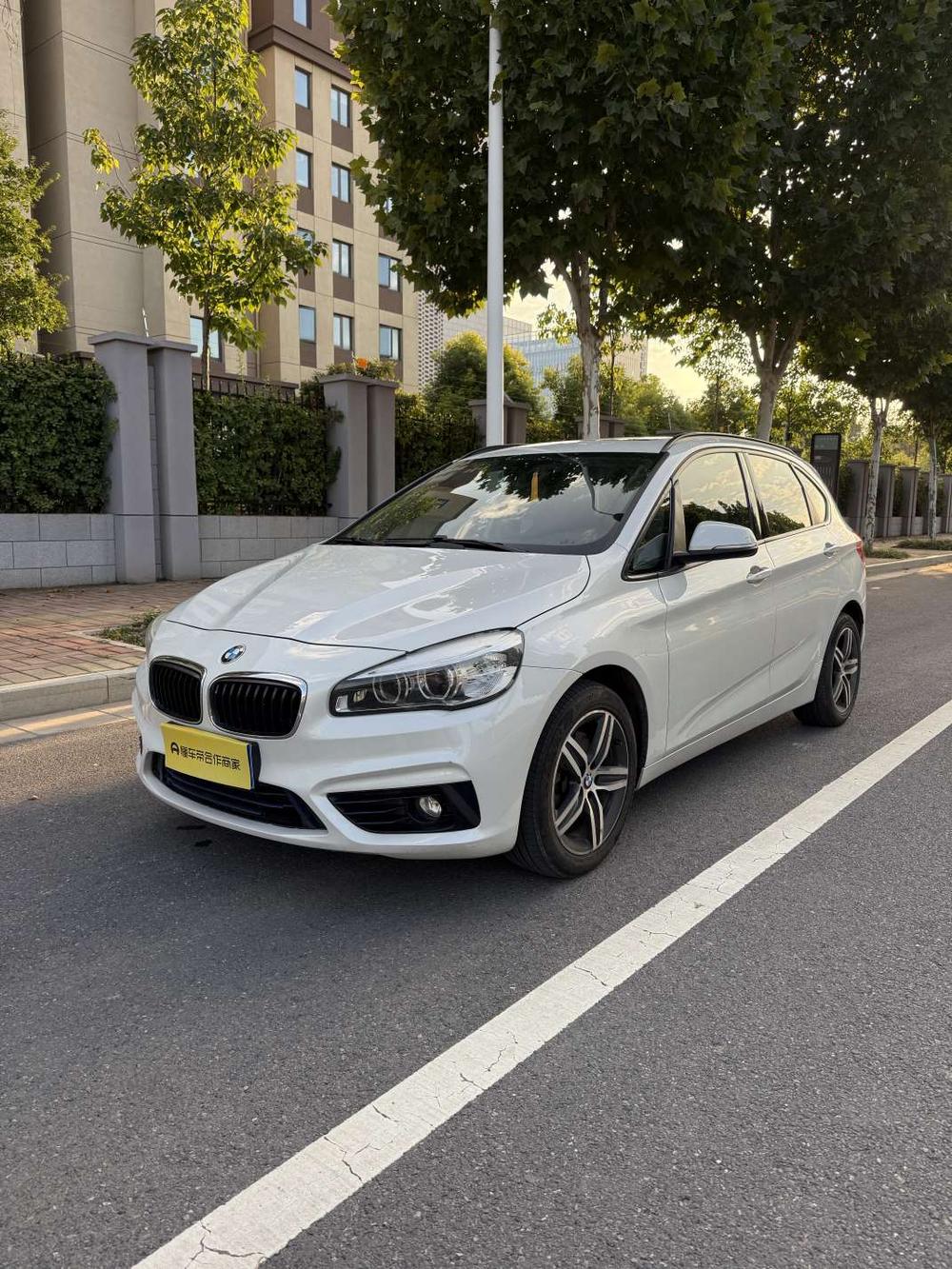 BMW BMW 2-Series Active Tourer (Import)