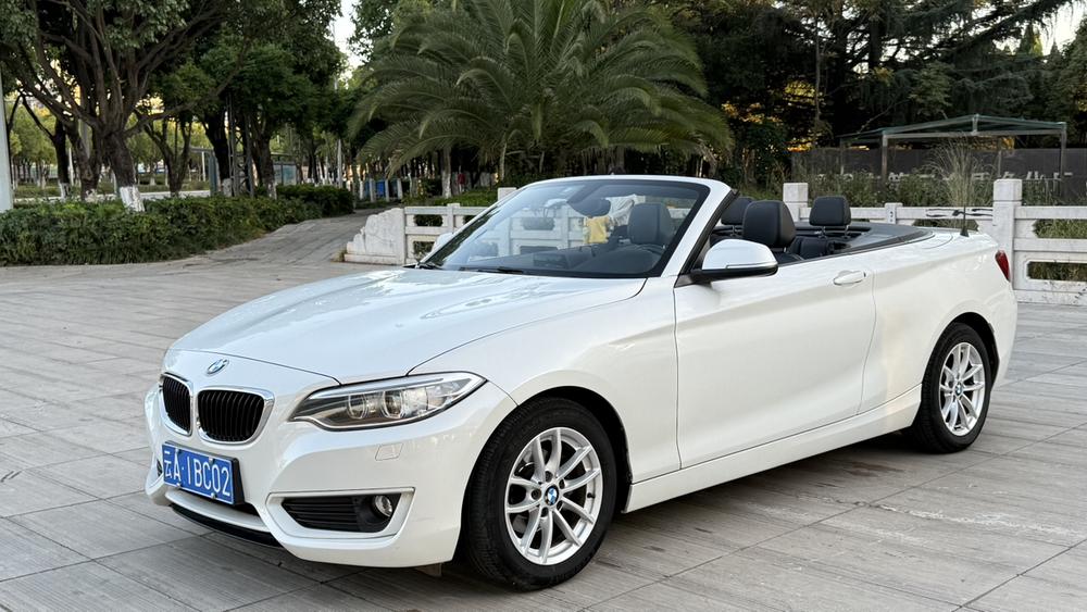 BMW BMW 2-Series (Import)
