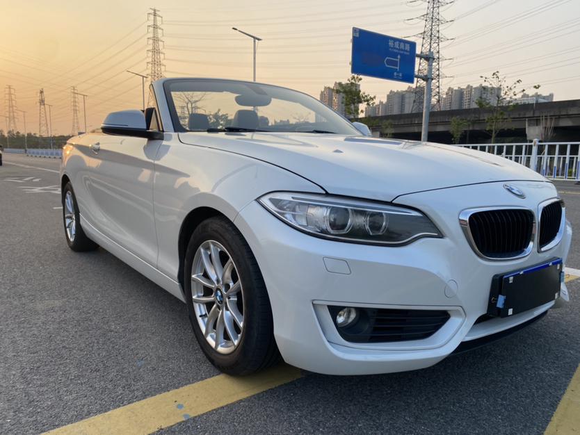 BMW BMW 2-Series (Import)