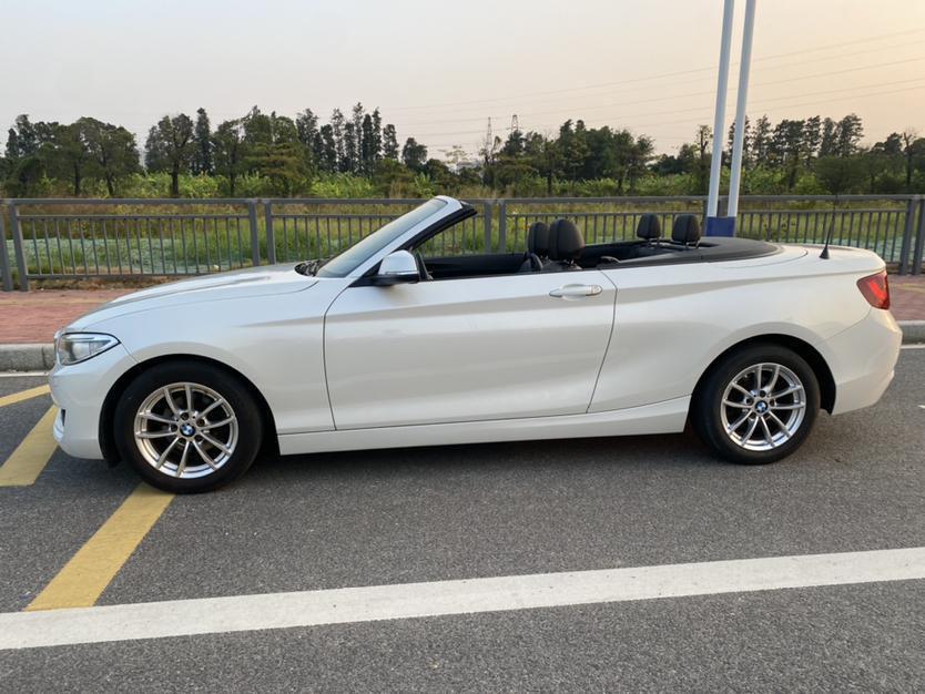 BMW BMW 2-Series (Import)