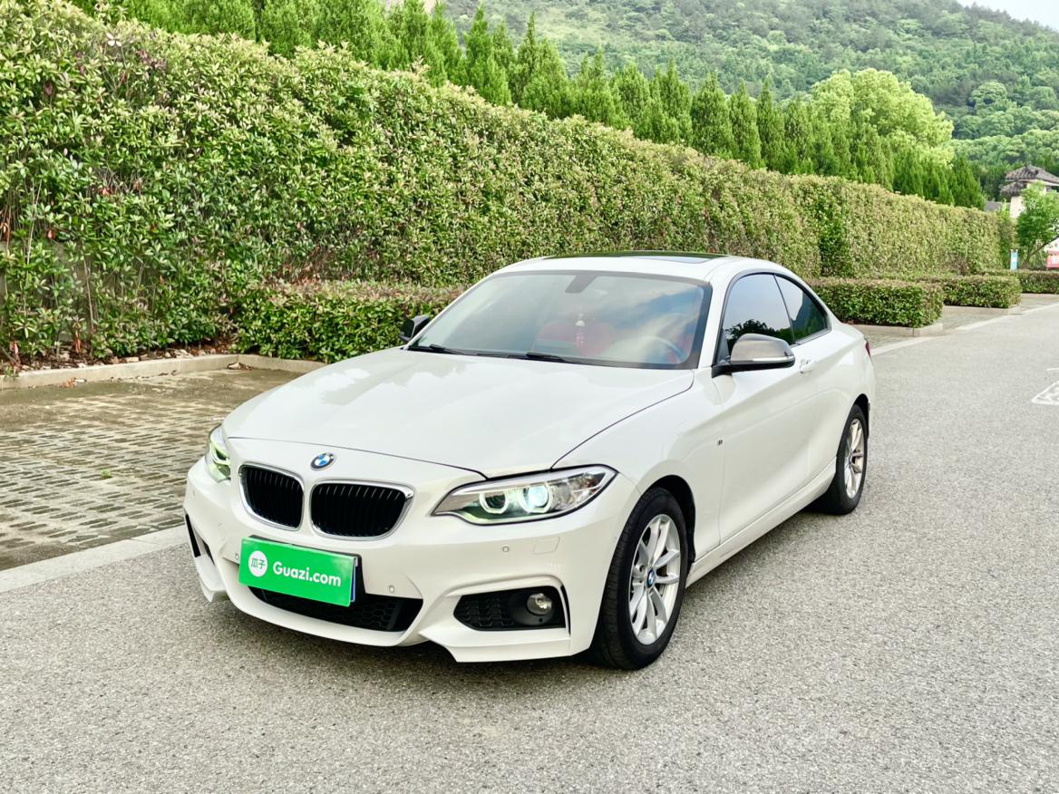 BMW BMW 2-Series (Import)