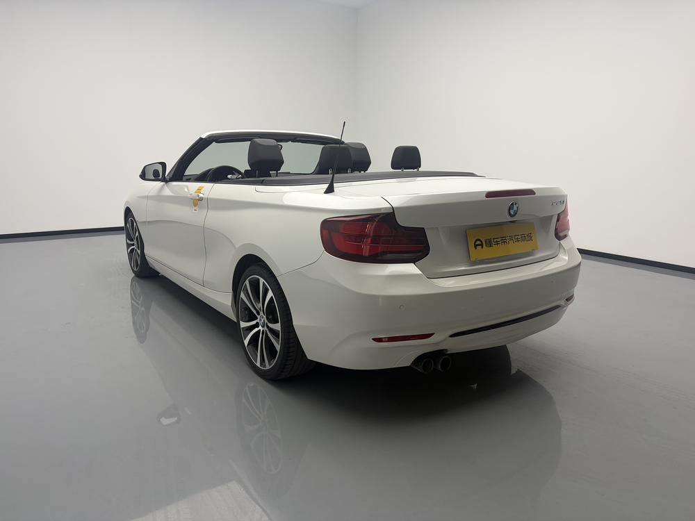 BMW BMW 2-Series (Import)