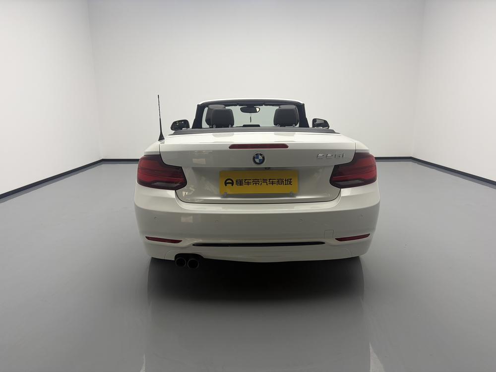 BMW BMW 2-Series (Import)